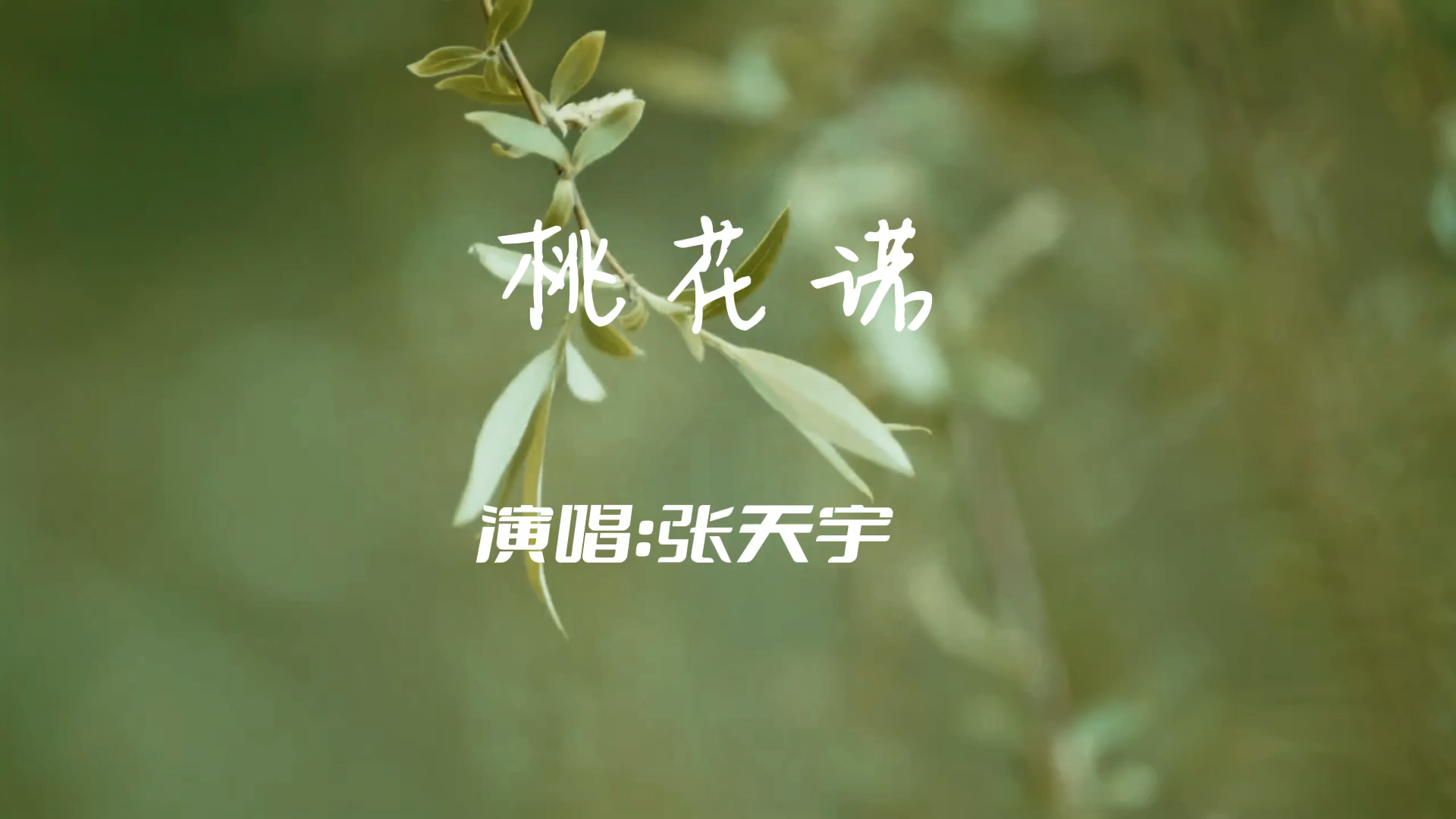  - 桃花诺