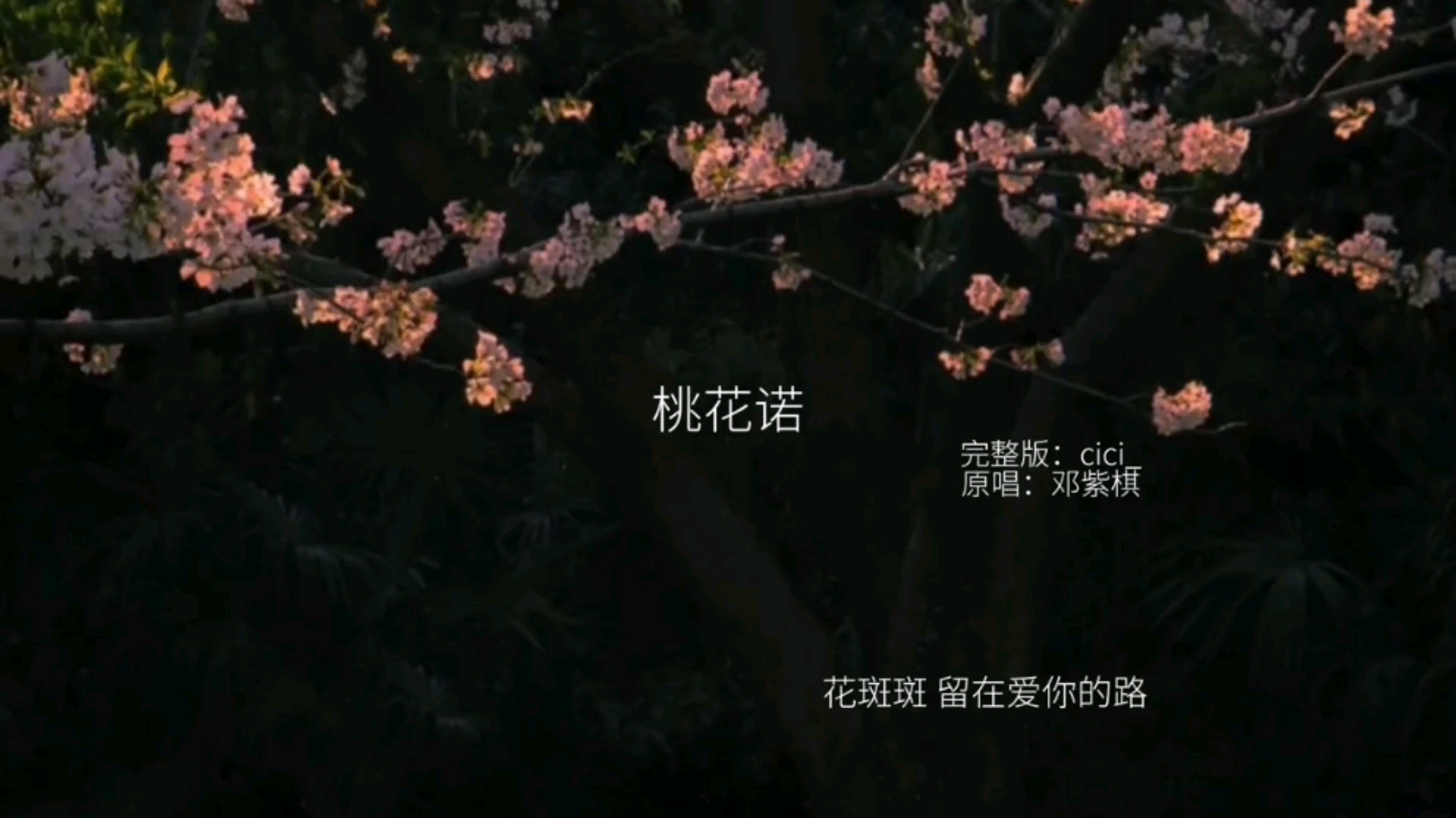  - cici_《桃花诺2023》