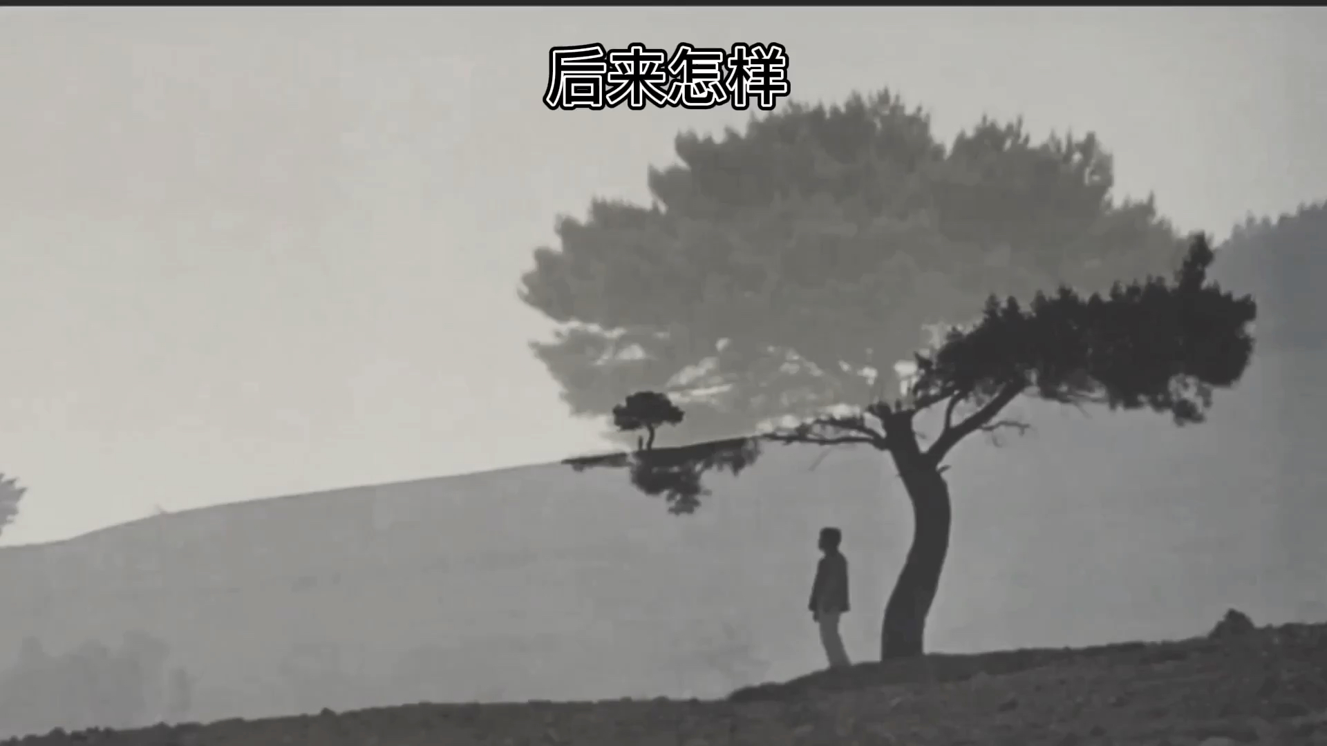  - 后来怎样